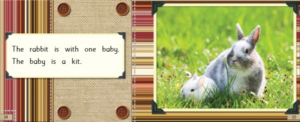 3e: Baby Animals pages