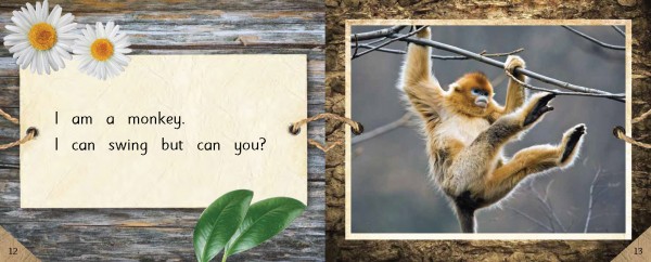 3a: What Can You Do? pages