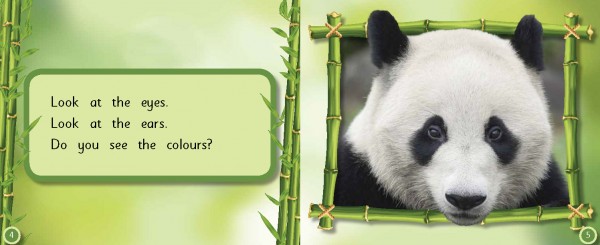 5a: The Panda pages